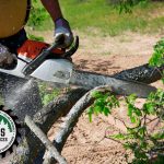 Arborist and tree removals in Auckland